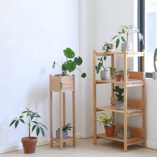 5 Creative Ways to Arrange a Thin Narrow Plant Stand