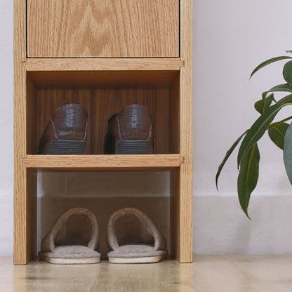 Single Door Shoe Cabinet