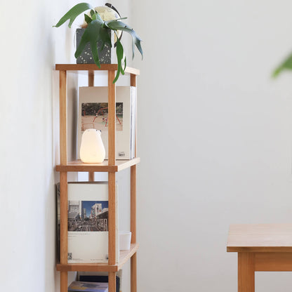 Narrow Shelving Unit